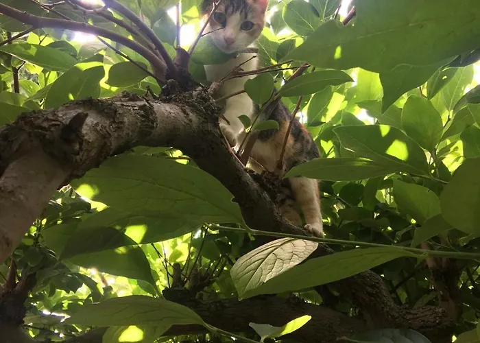 Bed & Breakfast Campagna Casagrande